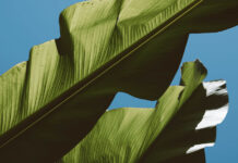 WA records 1,766 new local COVID cases as it prepares to open border