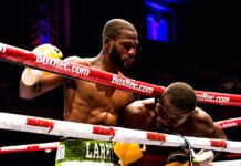 Tiny living machines called xenobots can create copies of themselves