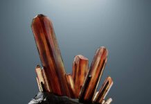 Ramping cut almost in half in last four months, SA government says