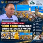 Dari Balik Tembok Lapas, 1.000 Ayam Disiapkan untuk Ketahanan Pangan Pemasyarakatan Sultra