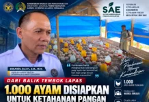Dari Balik Tembok Lapas, 1.000 Ayam Disiapkan untuk Ketahanan Pangan Pemasyarakatan Sultra